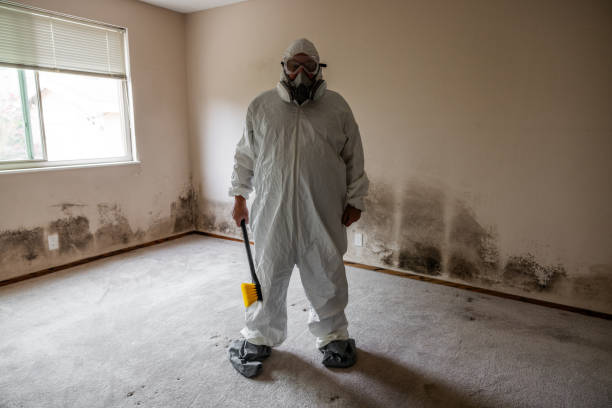 Best Emergency Mold Remediation  in South Taft, CA